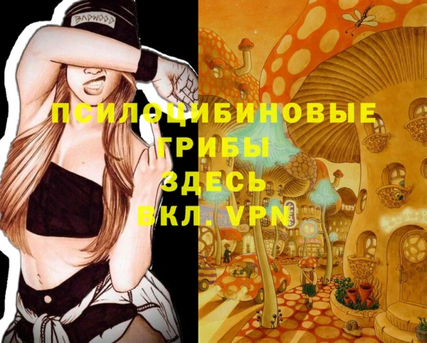 MDMA Premium VHQ Аркадак