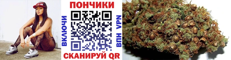 Конопля ГИДРОПОН  как найти наркотики  Верхняя Тура 